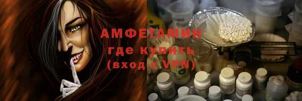 соль ск Новозыбков
