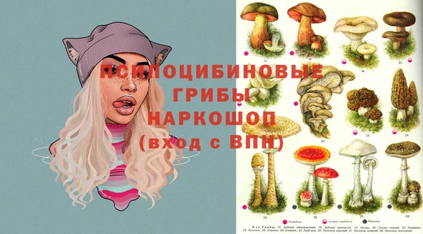 эйфоретик Нязепетровск