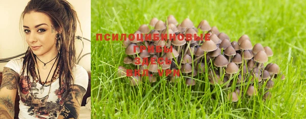 эйфоретик Нязепетровск