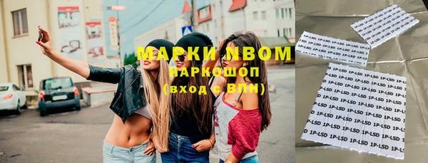 шишки Новокубанск