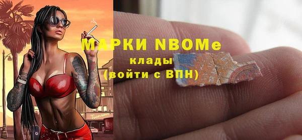соль ск Новозыбков