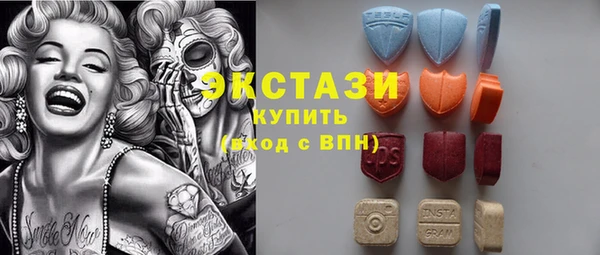 соль ск Новозыбков