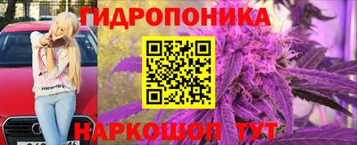 MDMA Гатчина