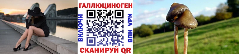 Псилоцибиновые грибы мицелий  Кизляр 
