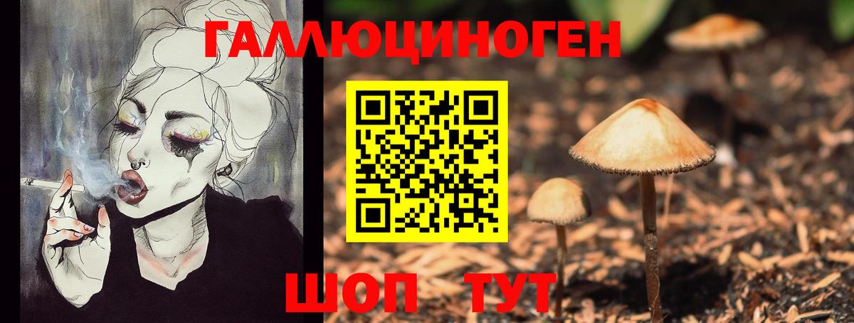 Галлюциногенные грибы мухоморы  Галлюциногенные грибы Psilocybe  Вход с VPN  Кизляр 