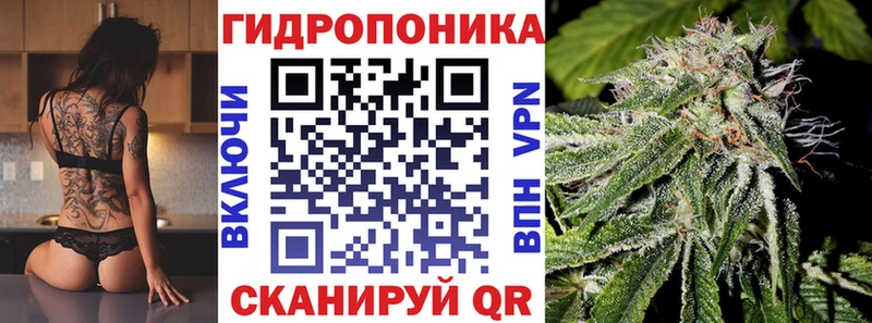 где найти   Кизляр  Бошки Шишки SATIVA & INDICA 